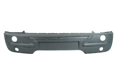 Bumper 5510004001900Q