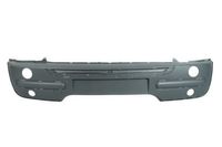 Bumper 5510004001900Q