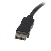 StarTech.com 3 m DisplayPort naar DVI Video Adapter Converter Kabel M/M - thumbnail