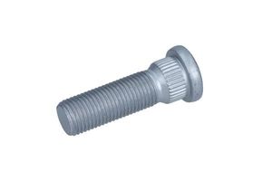 Wielbout 495093