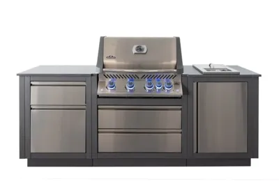 OASIS™ Compact Inbouwbarbecue Prestige® 500