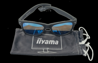 iiyama zonnebril grijs