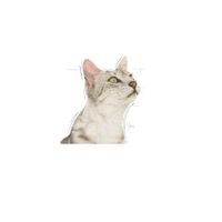 Royal Canin Sensory Smell nat kattenvoer 1 doos (12 x 85 g) - thumbnail