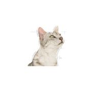 Royal Canin Sensory Smell nat kattenvoer 2 dozen (24 x 85 g) - thumbnail