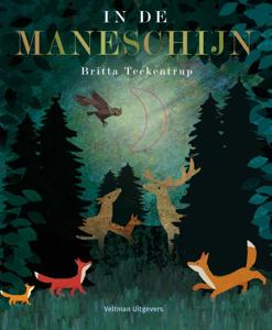 In de maneschijn (Hardback)