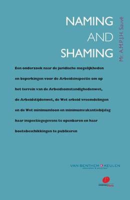 Naming and shaming (Paperback)