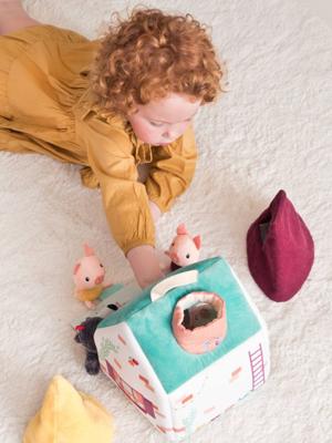 Huis van de wolf en de 3 biggetjes LILLIPUTIENS meerkleurig