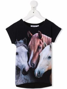 Molo t-shirt en coton biologique à motif tête de cheval - Noir