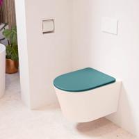 Wandcloset Mondiaz Lavie | Zonder spoelrand | Incl.Toiletzitting-Smag | Keramiek | Rosee