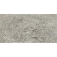 Florim Artifact 760629 Vloertegel 300X600 Grey 9Mm Mat Ret.R10