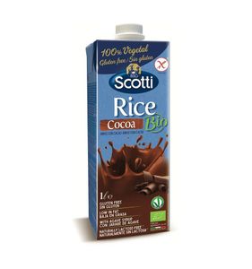 Rice drink cocoa bio