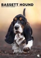 Basset Hound A3 Kalender 2026