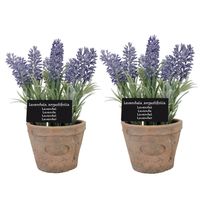 2x stuks kunstplanten lavendel in terracotta pot 23 cm