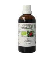 Rosa canina / rozebottel tinctuur bio