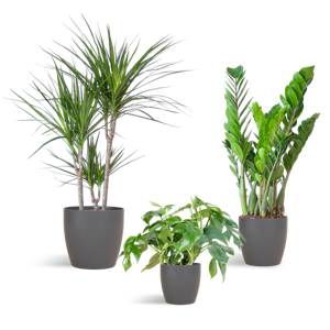 Schaduw Plantenbox - medium - met vibers pot grijs
