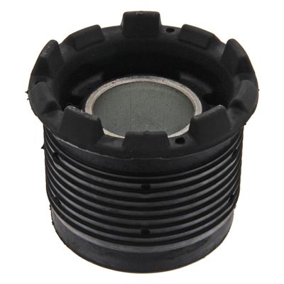 Vooraslichaamlager 10300