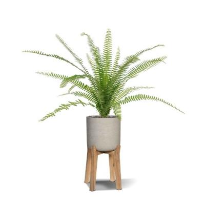 Asplenium Varen kunstplant 75 cm in 12cm pot