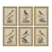 Schilderij Home ESPRIT Beige Vogel Shabby Chic 45 x 3 x 60 cm (6 Stuks)