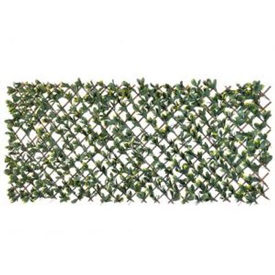 Wilgen tuinafscheiding klimrek met ligusterblad - 90 x 180 cm