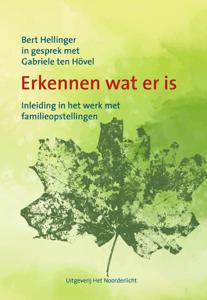 Erkennen wat er is (Paperback)