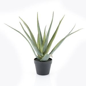 By-Boo Kunstplant 'Aloë Vera' 58cm hoog