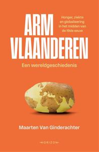 Arm Vlaanderen. Een wereldgeschiedenis - Maarten Van Ginderachter - ebook