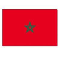 Gevelvlag/vlaggenmast vlag Marokko 90 x 150 cm   -