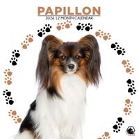 Papillon Kalender 2026