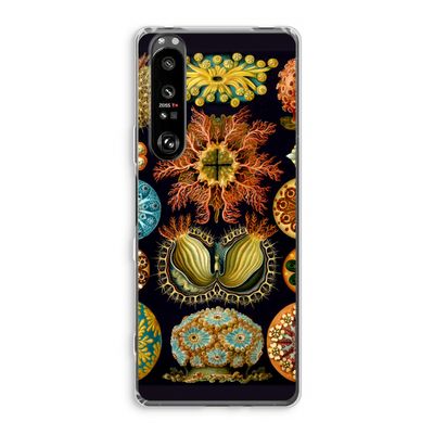 Haeckel Ascidiae: Sony Xperia 1 III Transparant Hoesje