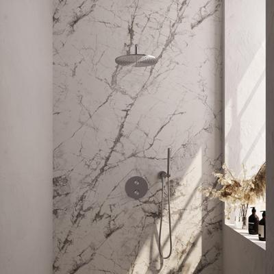 BRAUER Brushed Edition thermostatische Inbouw Regendouche - 3-weg - rond - set 76 - 30cm hoofddouche - gebogen muurarm - staaf handdouche - doucheslang - wandaansluitbocht - RVS geborsteld PVD 5-NG-270 BRAUER Brushed Edition thermostatische Inbouw Regendouche - 3-weg - rond - set 76 - 30cm hoofddouche - gebogen muurarm - staaf handdouche - doucheslang - wandaansluitbocht - RVS geborsteld PVD 5-NG-270