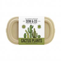 Gift Republic Cactus Planten - thumbnail