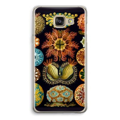 Haeckel Ascidiae: Samsung Galaxy A5 (2016) Transparant Hoesje
