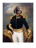 Kunstdruk Thierry Poncelet - Ceremonial Dress 66x86cm