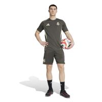 adidas Real Madrid Trainingsset 2025-2026 Grijs Lichtgroen