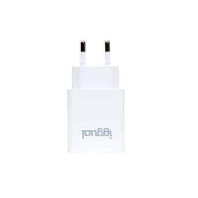 Oplader iggual IGG318317 30 W