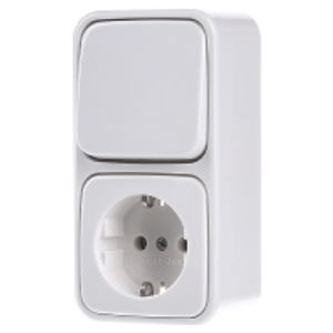 2601/6/2300EAPW500  - Combination switch/wall socket outlet 2601/6/2300EAPW500