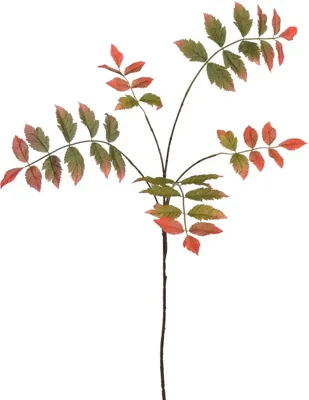 Pure Royal kunsttak rhus typhina 100cm groen, rood