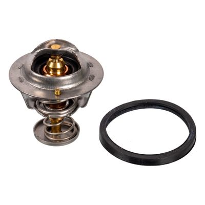 Thermostaat 24998