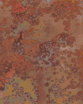 Noordwand Komar Munich Design Fotobehang Patina - V4-746