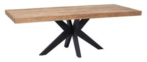 DTP Home Eettafel 'Newton' Teakhout, 220 x 100cm