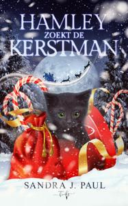 Hamley zoekt de Kerstman (Hardback)