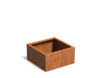 Cortenstaal plantenbak CARREZ zonder bodem 80x80x40cm.