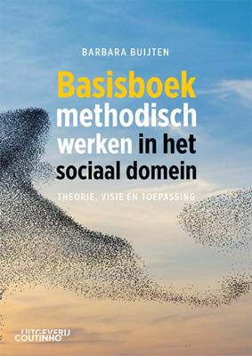 Basisboek methodisch werken in het sociaal domein (Paperback)