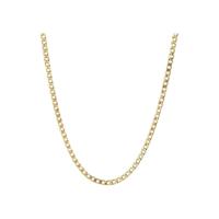 Ketting Dames Radiant RH000229 Gouden