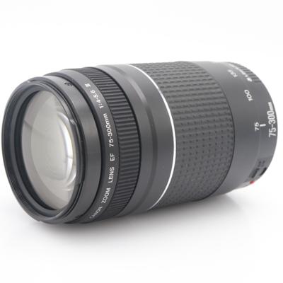 Canon EF 75-300mm F/4-5.6 III occasion