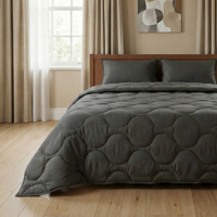 1+1 Gratis Wasbaar Lazy Dekbed Zonder Overtrek - Zonder Overtrek - Antraciet - Dekbed-Discounter.nl