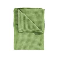 Heckett Lane Wafel Plaid - Apple Green - thumbnail