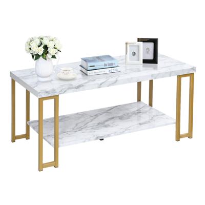 Salontafel Bijzettafel Banktafel Bijzettafel Consoletafel Salontafel Goud en Wit 100 x 49,5 x 45 cm