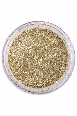 PXP biodegradable dutch silver powder glitter 2.5 gr.