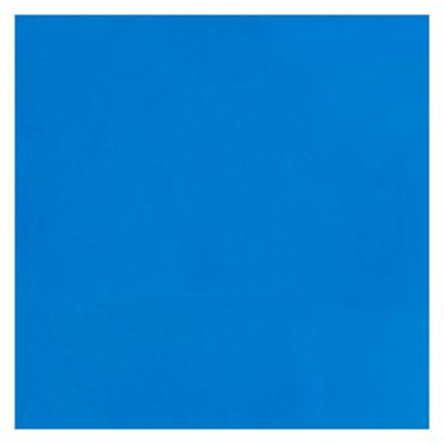 Bruynzeel Ecola plakkaatverf fles 16ml lichtblauw 501